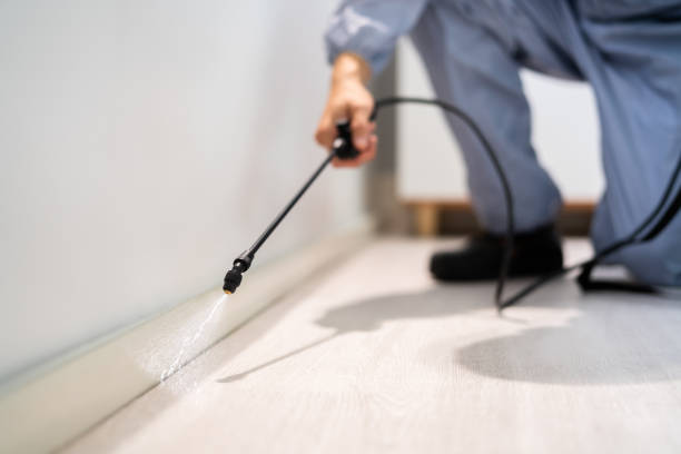 Licensed Fumigation Services service in Tom Green County County, TX - Nex Pest Control